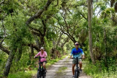 Nature in Motion Trail Photo